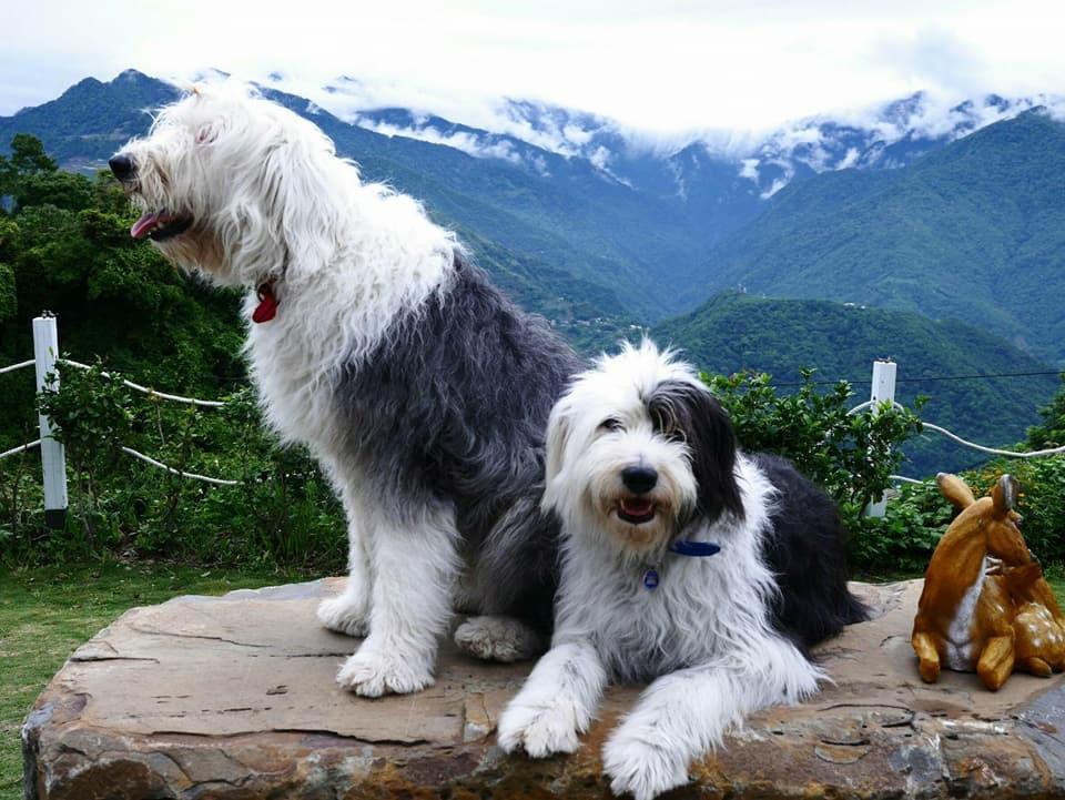 Moose & Squirrel Bed & Breakfast Renai Luaran gambar